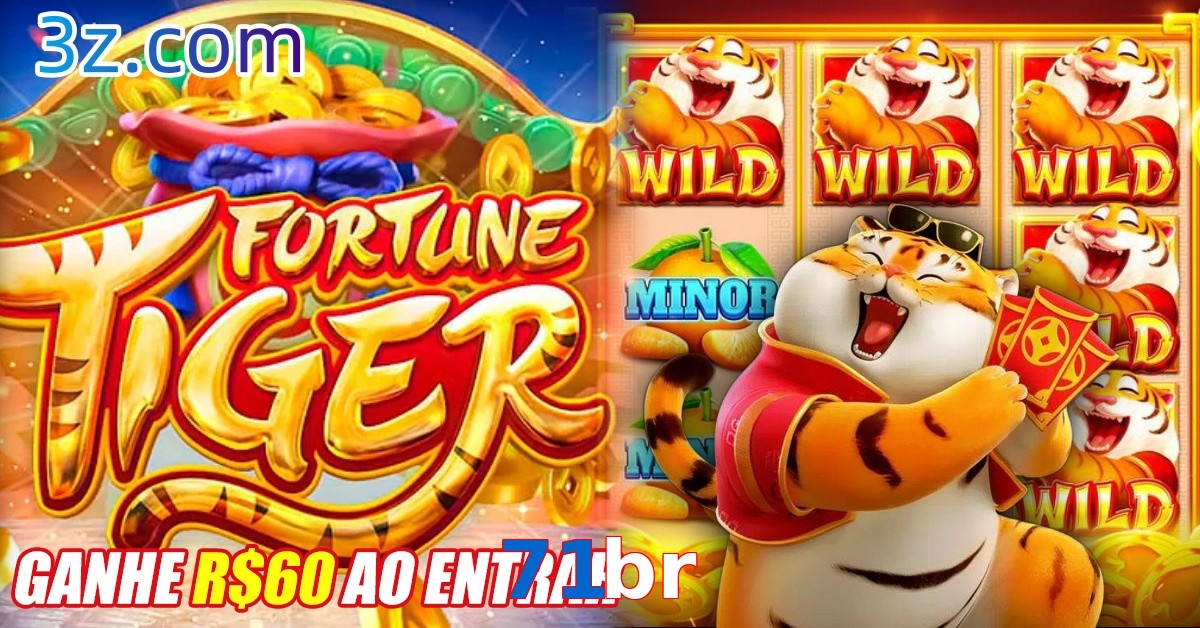 71br.com
